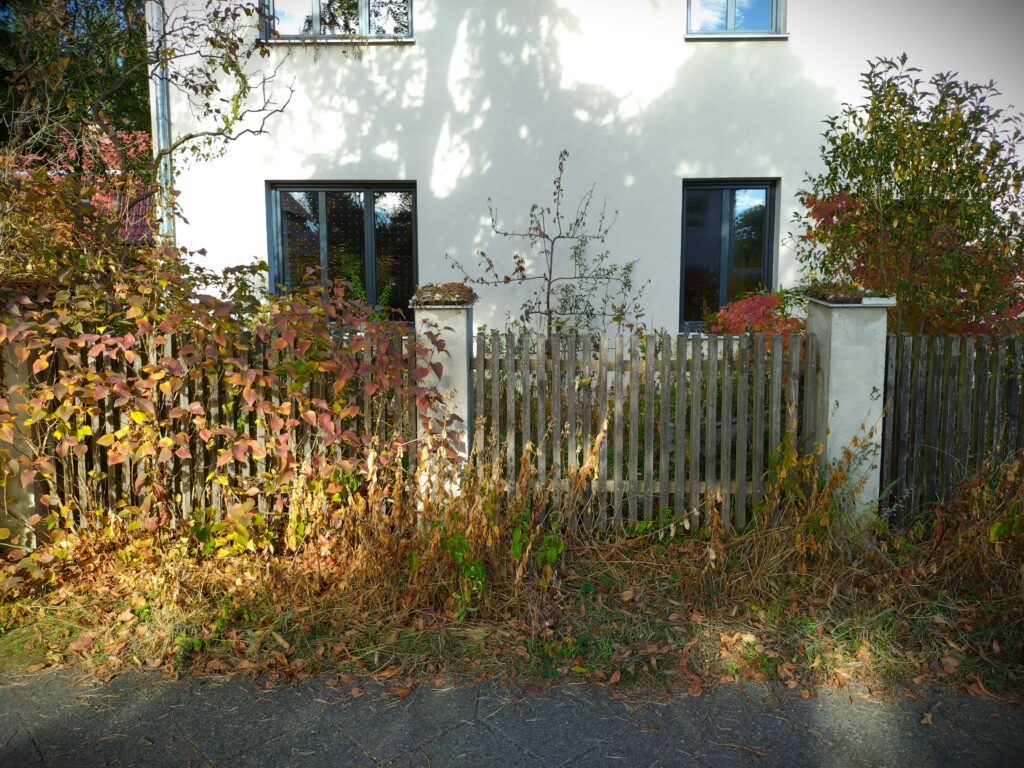 ErdGeschoss Frontansicht