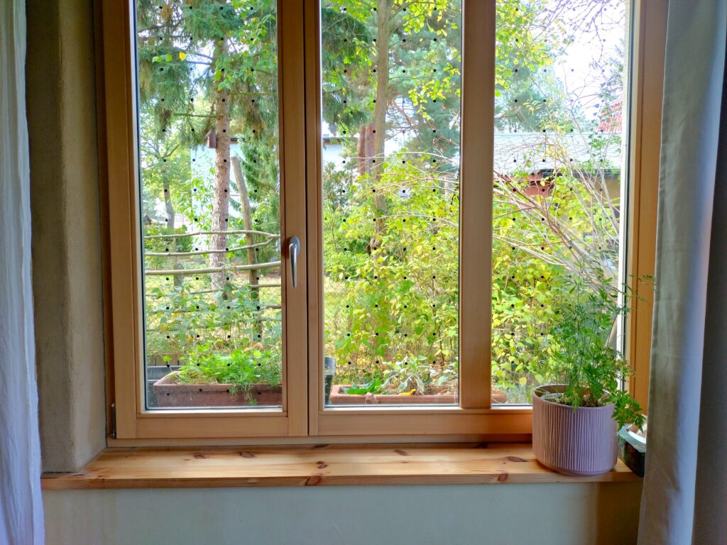Gruppenraum Fenster mit Blume